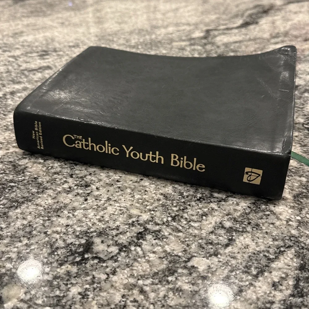 CATHOLIC YOUTH BIBLE--NSRV Catholic Edition-2010 Flexible‎ Leatherette-SUPERB!
